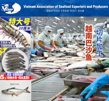 Seafood Media Group Worldnews Why Has Seafood Export To China Not Yet Made A Breakthrough