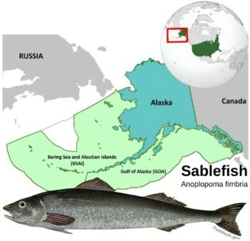 Seafood Media Group - Worldnews - Weekly catches │ GOA/BSAI | Black cod ...