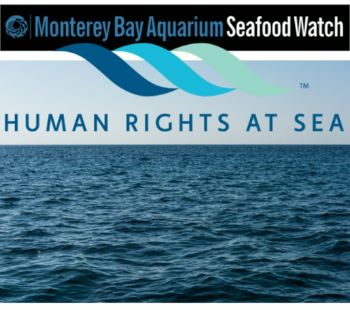 Seafood Media Group - Worldnews - Monterey Bay Aquarium's Seafood Watch ...
