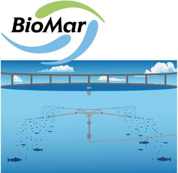 Seafood Media Group - Worldnews - BioMar explores ideal aquafeed for ...