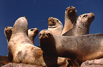 tour10.jpg (102030 bytes)