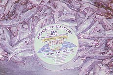 tapaderecha.jpg (17969 bytes)