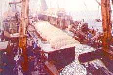 tapaizquierda.jpg (7785 bytes)