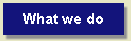 What we do