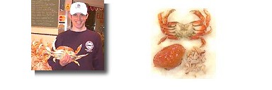 Image of 5 Whole Cooked Dungeness Crab