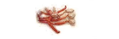 Image of 5 lb King Crab Leg & Claw