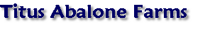Titus Abalone Farms